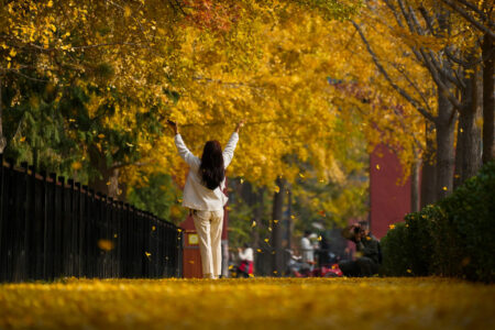 Kvinna står under träd med fallande gula löv.