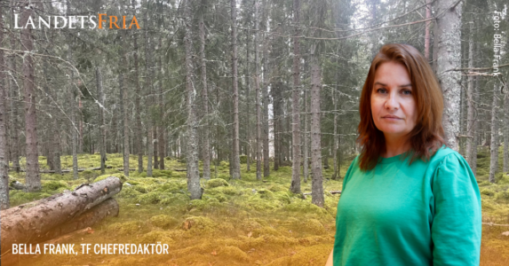 Bella Frank med skog i bakgrunden.