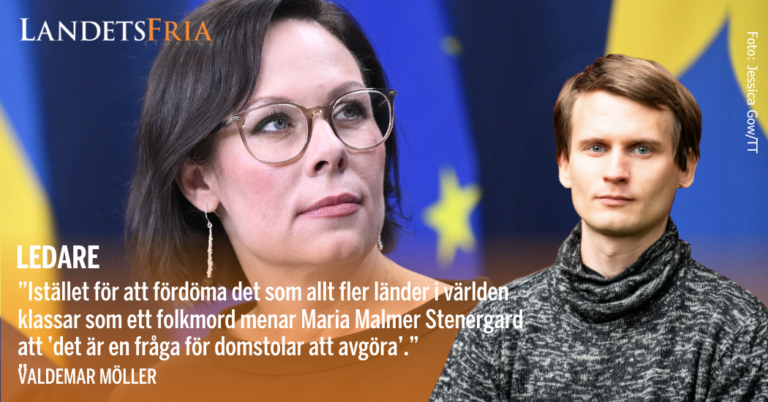 Valdemar Möller med utrikesminister Maria Malmer Stenergard i bakgrunden.