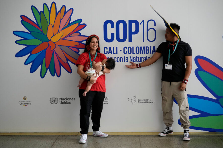 COP 16.