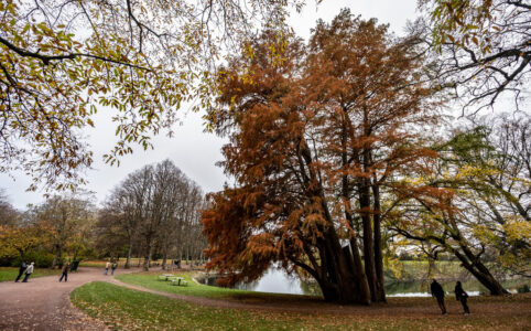 Kungsparken i Malmö.