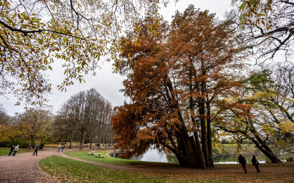 Kungsparken i Malmö.