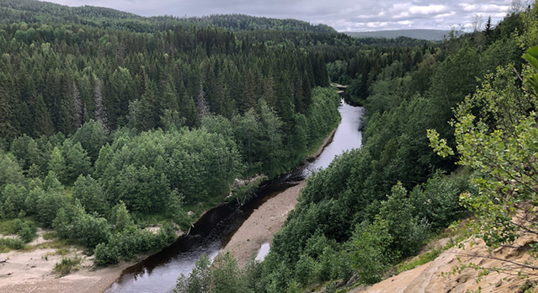 å med skog