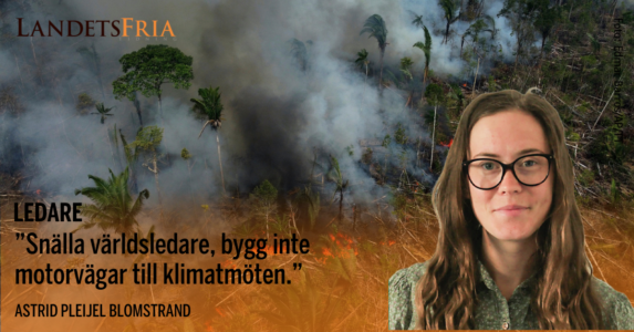 Amazonas brinner. Skribenten i förgrunden.