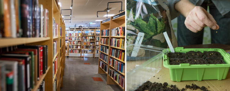 Bibliotek och fröer.