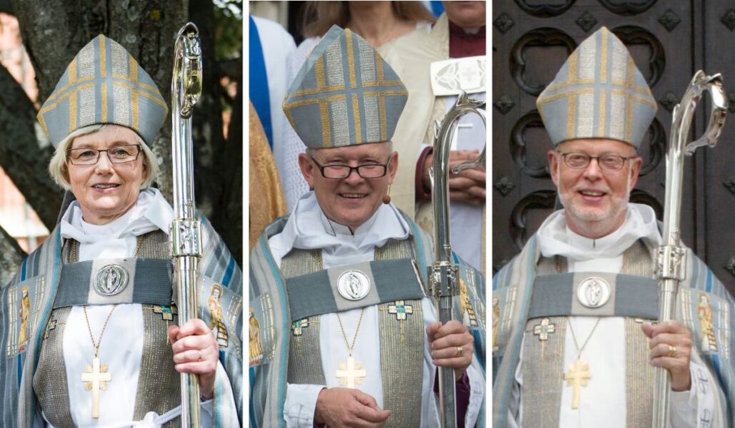De tidigare ärkebiskoparna Antje Jackelén (2014–2022), Anders Wejryd (2006–2014) och KG Hammar (1997–2006) vädjar till sina forna kollegor om att de ska göra kyrkans skogsbruk hållbart.