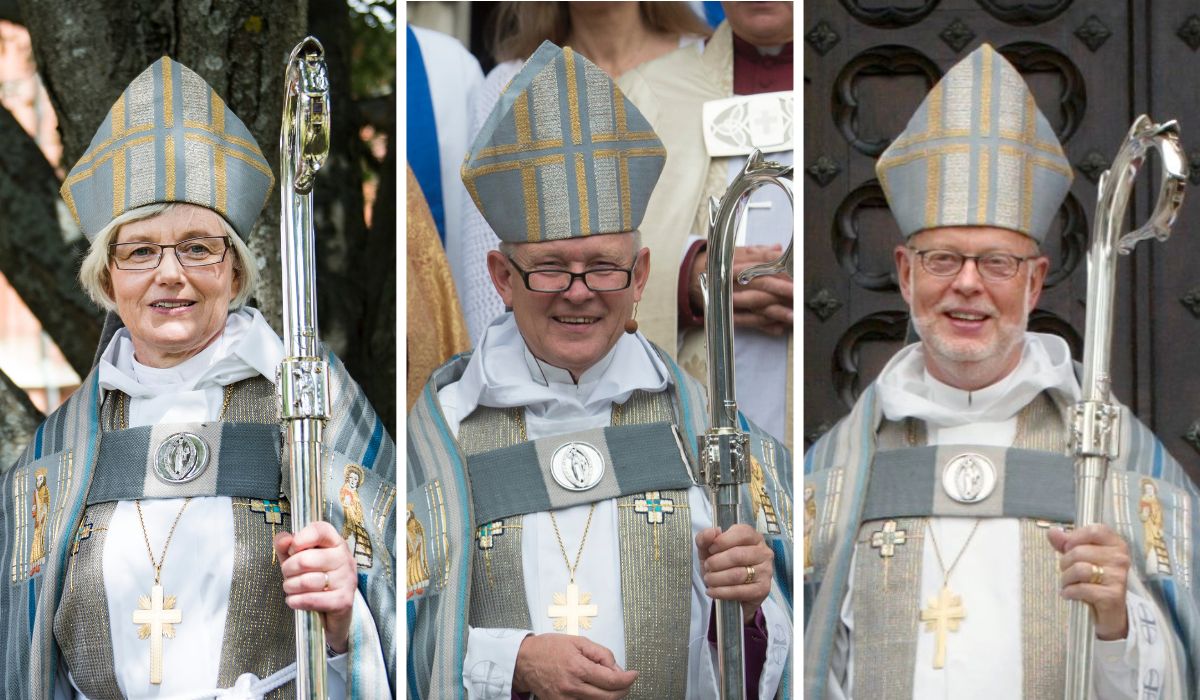 De tidigare ärkebiskoparna Antje Jackelén (2014–2022), Anders Wejryd (2006–2014) och KG Hammar (1997–2006) vädjar till sina forna kollegor om att de ska göra kyrkans skogsbruk hållbart.