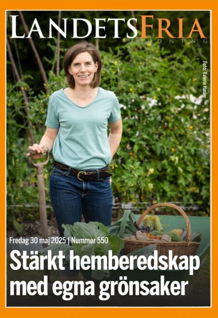 Nummer arkiv