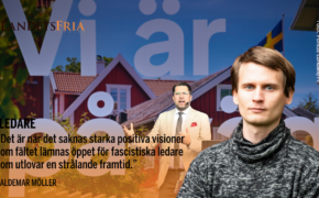 Jimmie Åkessson håller tal. Skribenten i förgrunden.