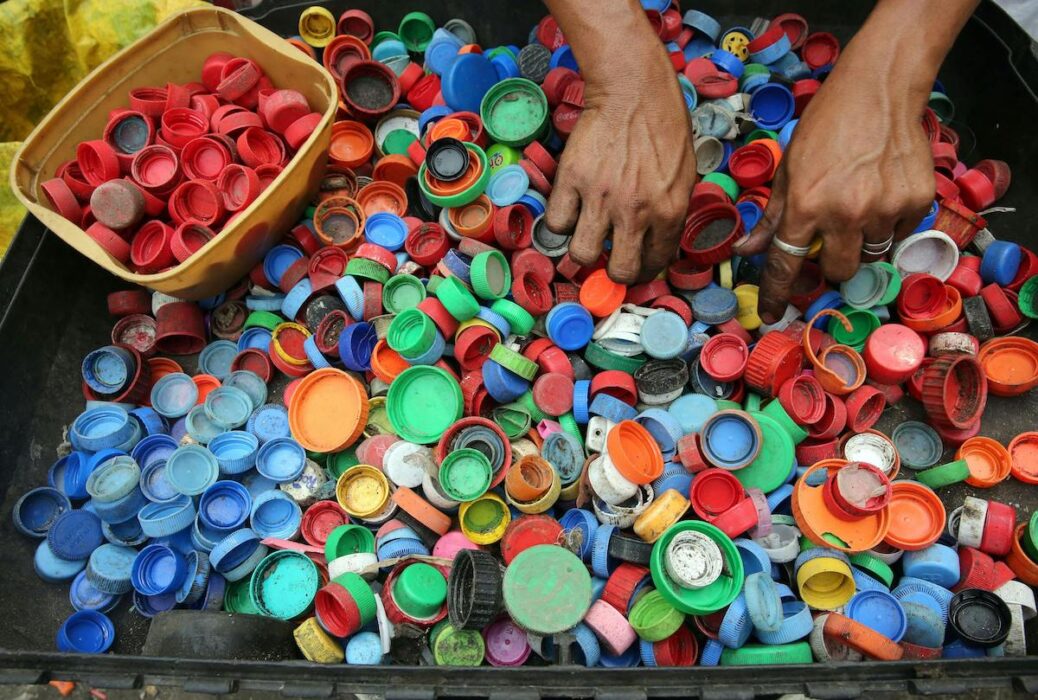 I studien lät forskarna fiskar komma i kontakt med pellets från återvunnen plast från olika platser i världen.