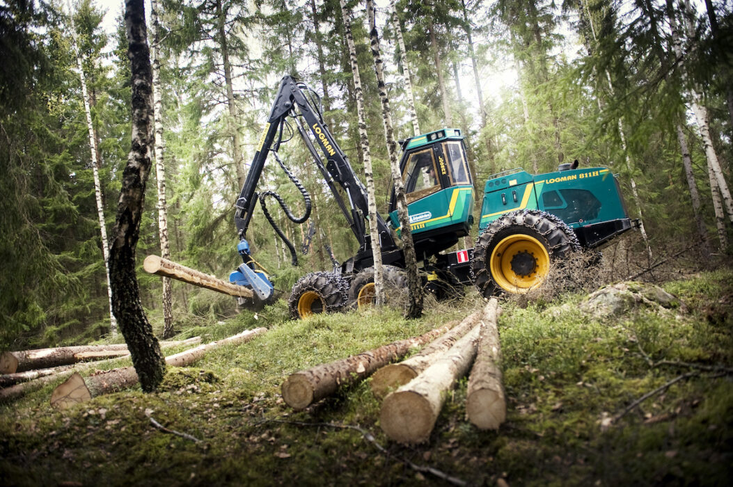 Att minska avverkningen ger mer klimatnytta än att intensifiera skogsbruket, visar en ny studie från Umeå universitet, Mittuniversitetet och Sveriges lantbruksuniversitet.