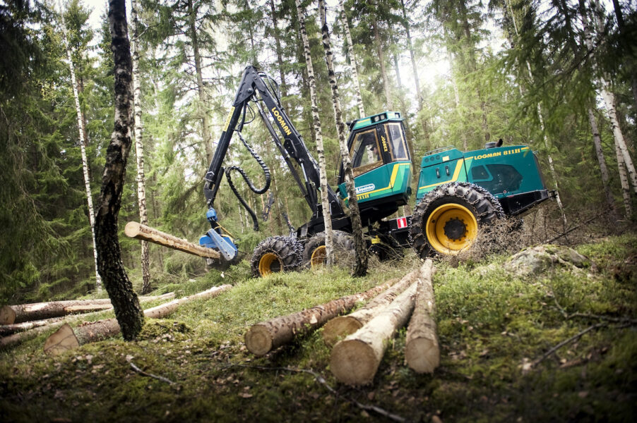 Att minska avverkningen ger mer klimatnytta än att intensifiera skogsbruket, visar en ny studie från Umeå universitet, Mittuniversitetet och Sveriges lantbruksuniversitet.