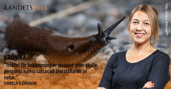 Camilla Björkbom med snigel i bakgrunden.
