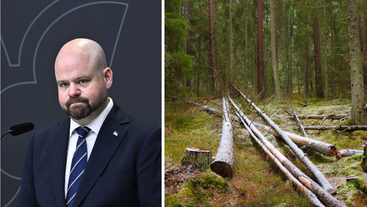”Nu gör vi ett omtag”, sade landsbygdsminister Peter Kullgren (KD) i samband med att regeringen ändrade hur statusen på svensk natur ska rapporteras till EU.
