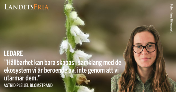 Astrid Pleijel Blomstrand med knärot i bakgrunden.