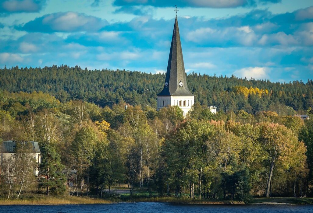 Ska ekonomisk avkastning eller andra hållbarhetsvärden stå i fokus för förvaltningen av Svenska kyrkans skog? Åsikterna inför kyrkovalet i september går isär.