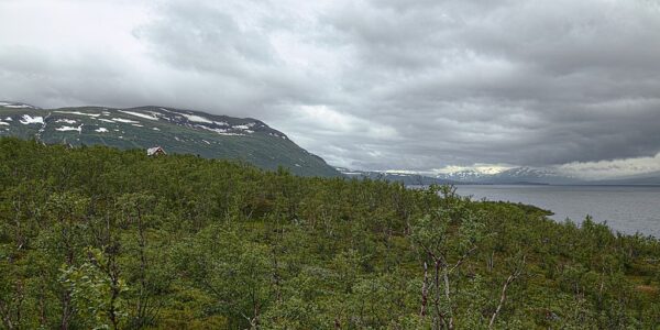 Bild från Abisko naturvetenskapliga station.