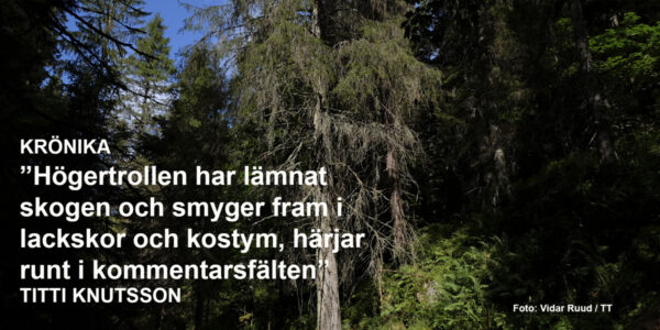 granskog med citat