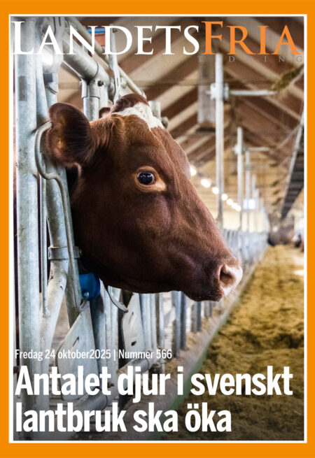 Nummer arkiv
