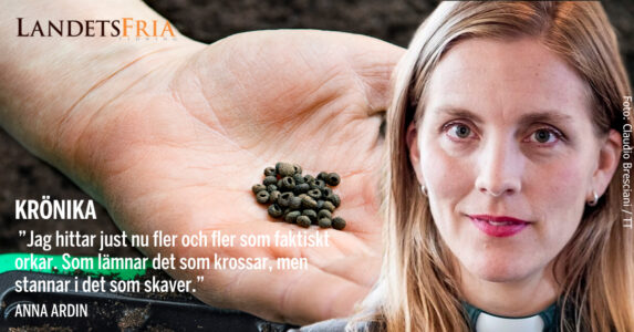 Anna Ardin med citat