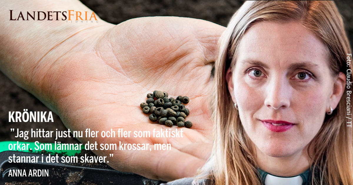 Anna Ardin med citat