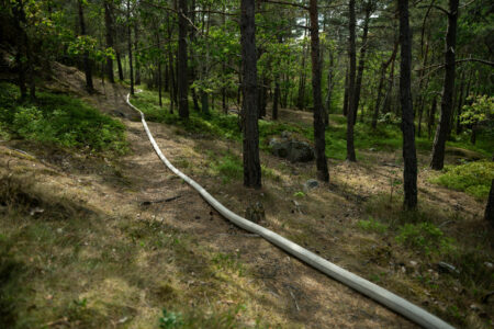 Skog med lång brandslang.