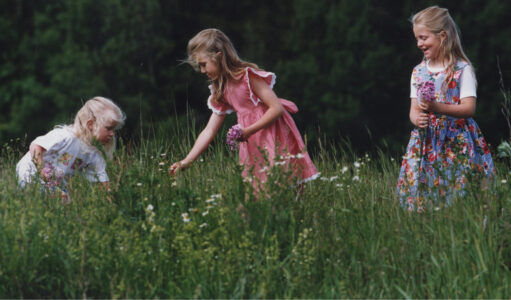 tre flickor plockor blommor på en äng