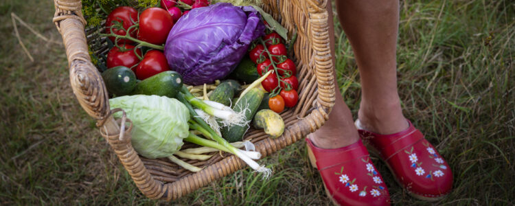 korg med färska grönsaker och ett par röda tofflor