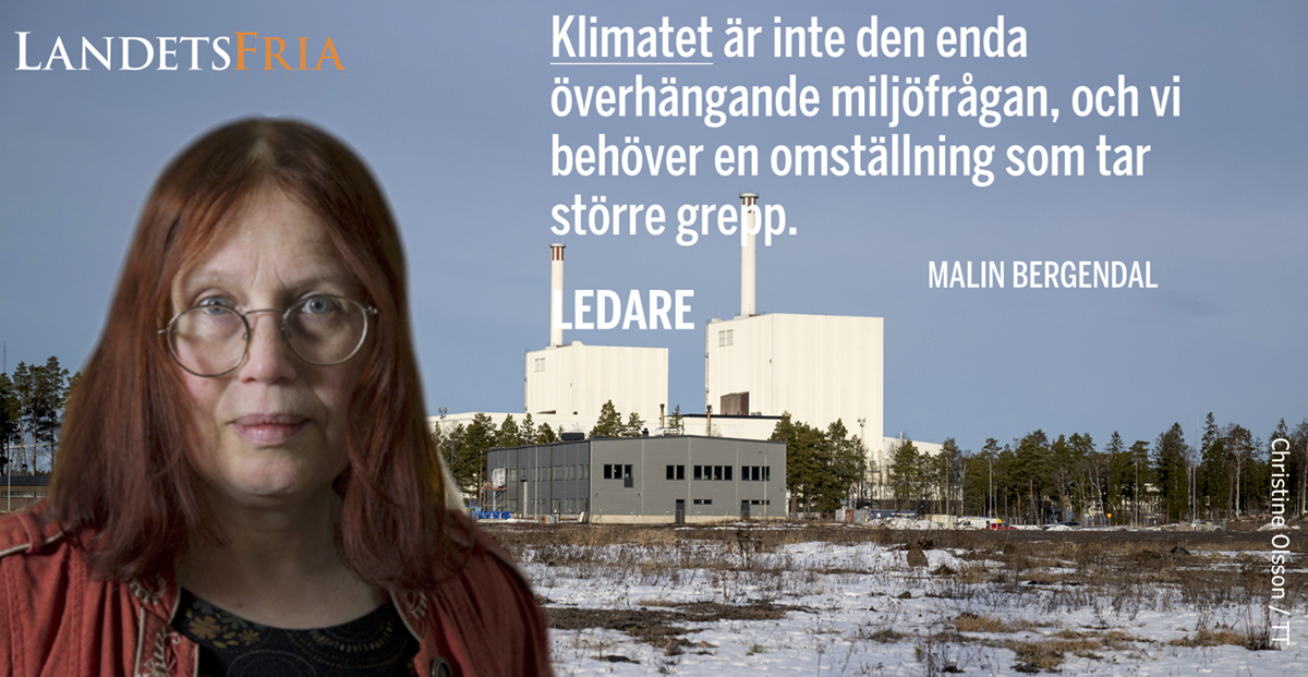 Malin Bergendal  med citat