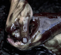 oljeindränkta händer