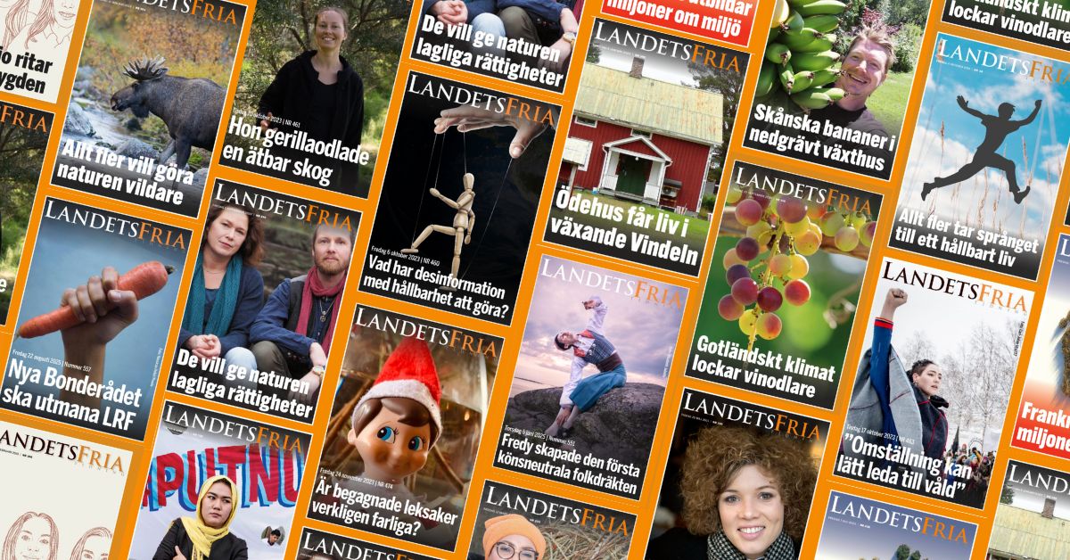 Några av Landets Fria Tidnings 574 nummer.
