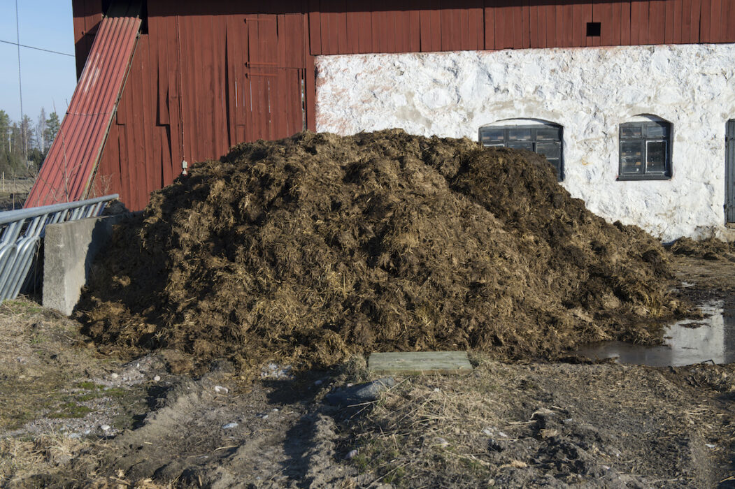 Utsläppen av ammoniak från bland annat jordbruket är fortfarande för höga och bryter mot EU:s regler.