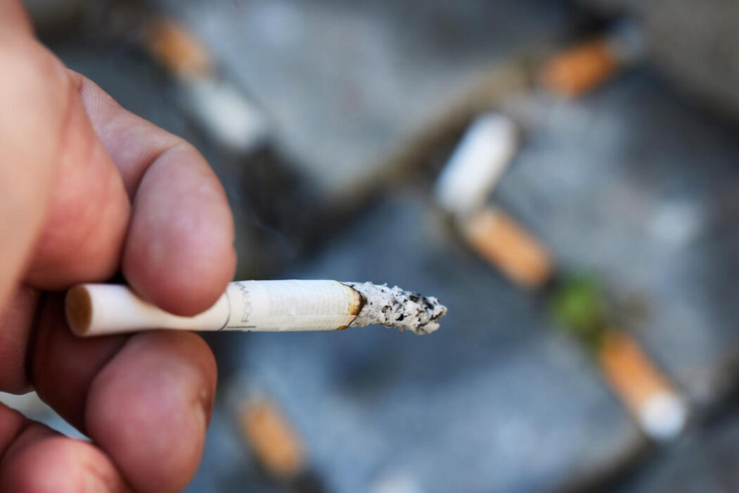 Antalet fimpar på marken har minskat med 33 procent på två år.