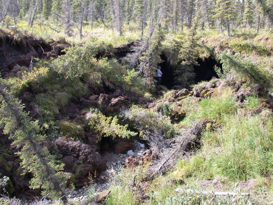 TT-forsk-permafrost
This undated handout photo provided by the University of Florida, shows the Noatak National Preserve in Alaska with erosion and ground degradation because permafrost is thawing more from global warming. Massive amounts of greenhouse gases trapped below thawing permafrost will likely vent into the air over the next several decades, accelerating and amplifying global warming, scientists warn. (AP Photo/Edward Schuur, University of Florida)