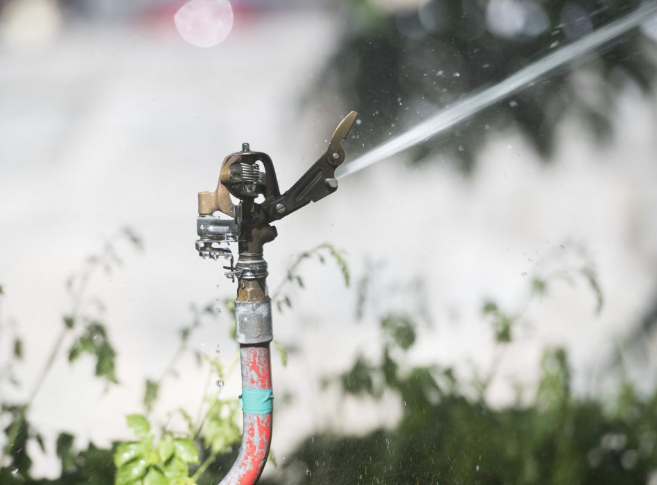 ENKÖPING 20180531
En vattenspridare vattnar en park i Enköping. Kommunerna som inför bevattningsförbud blir fler och fler. Vattenverk i landet jobbar på högtryck när folk vattnar gräset, svalkar sig, fyller pooler och räddar törstande blommor i sommarhettan.
Foto: Fredrik Sandberg / TT / kod 10080