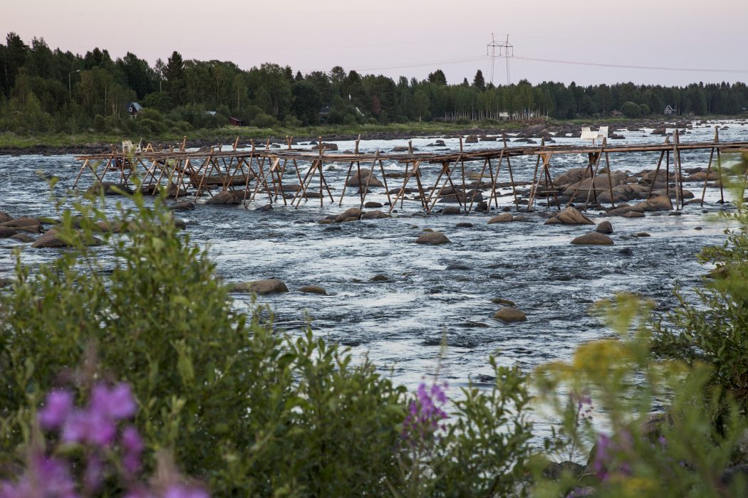 KUKKOLA 20180720
Kukkolaforsen i Torne älv på gränsen mellan Sverige och Finland.
Foto: Helena Landstedt / TT / kod 76091