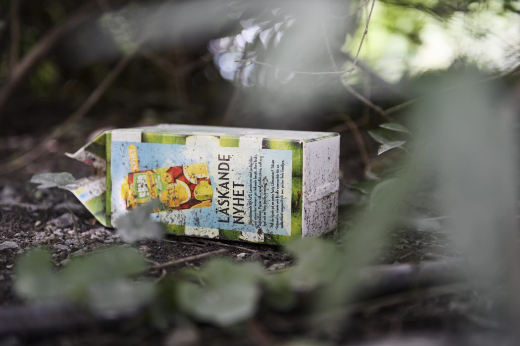 STOCKHOLM 20190717
Kartong under en buske i en park. Nedskräpning i stadsmiljö.
Foto: Naina Helèn Jåma / TT kod 11880