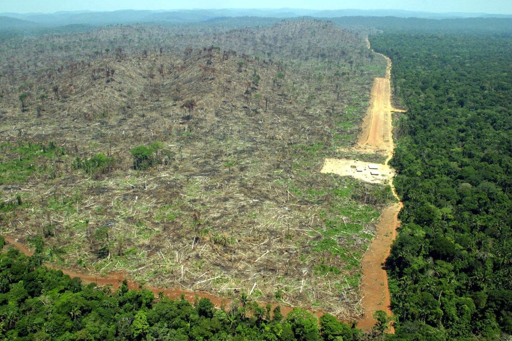 In this aereal image released by Greenpeace, an area deforestated by soybean farmers is seen in Terra do Meio, Para, Brazil, in this September, 2004 photo. Deforestation in the Amazon rain forest in 2004 was the second worst on record, figures released by the Brazilian government showed. The destruction was nearly 6 percent higher than in the same period the year before, when 24,600 square kilometers (9,500 square miles) were destroyed. (AP Photo/Alberto Cesar-GREENPEACE/HO) COPYRIGHT SCANPIX SWEDEN Code: 436