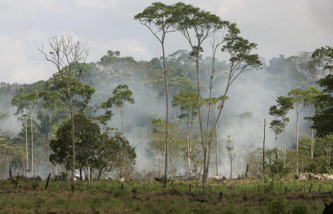 **ADVANCE FOR SUNDAY, DEC. 9** A forest burns from a fire set by land owners to clear the land for cattle grazing in the Amazon town of Puerto Maldonado, Peru, on the border with Brazil, Thursday, Nov. 1, 2007. (AP Photo/Silvia Izquierdo)