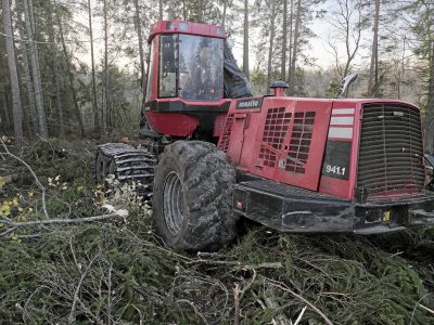SKOGSAVVERKNING
