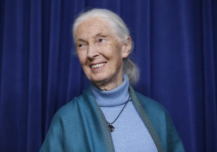 Jane-Goodall