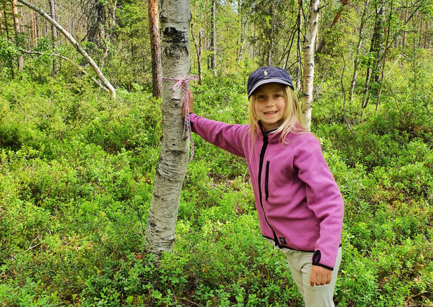 Aili Lundström, LFT:s första volontärreporter knyter ett knypplat hjärtband under skogsvandringen Älska skogen, som nätverket Edda Sverige genomfört i Jokkmokk.