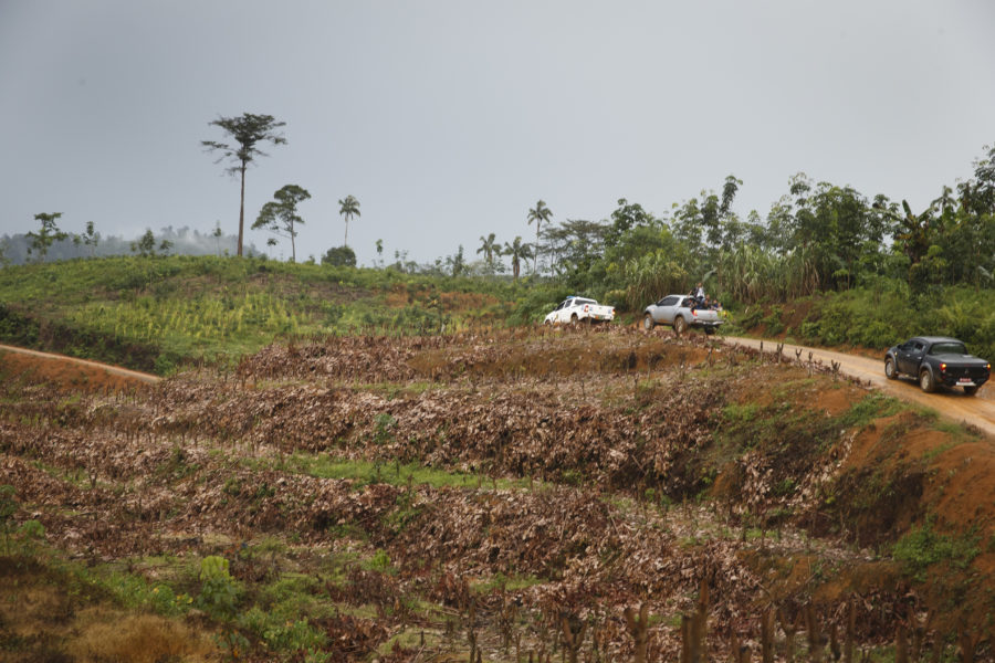 Avskogad mark på Sumatra i Indonesien.