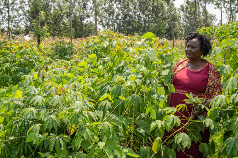"Mat är det viktigaste" säger Beatrice Wamalwa, småskalig bonde från Kenya intervjuad i rapporten Klimaträttvisa.